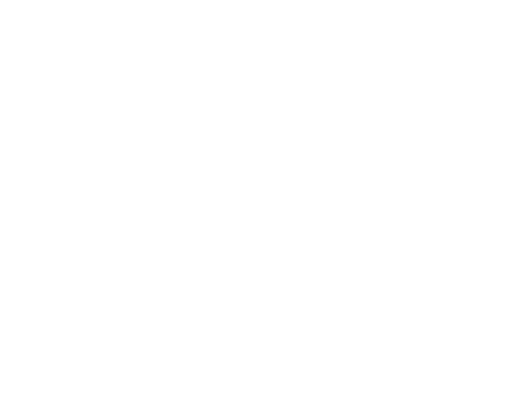 pic-15.png
